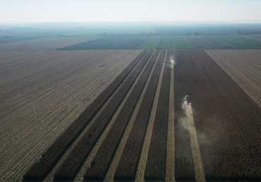 Győzelem 2004 Mg Kft