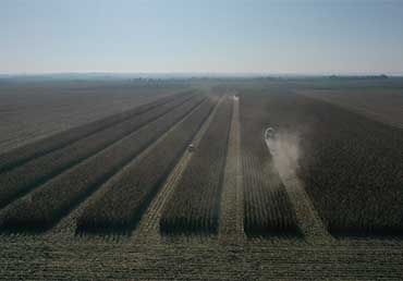 Lajoskomáromi Győzelem Kft